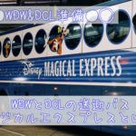 WDWとDCLの送迎バス【マジカルエクスプレス】と【クルーズ社のバス】とは？