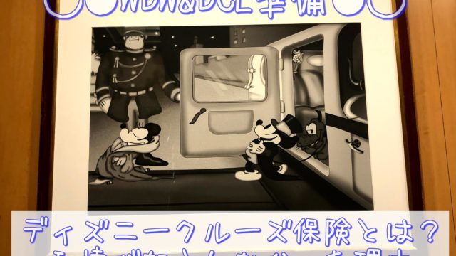 ディズニークルーズ保険とは？私達が加入しなかった理由と保険内容をまとめてみた