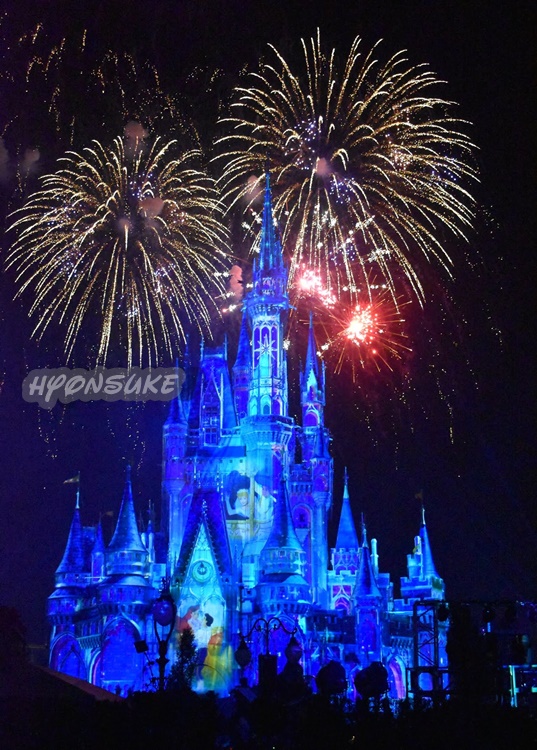 WDW MK「Happily Ever After(ハッピリーエバーアフター)」