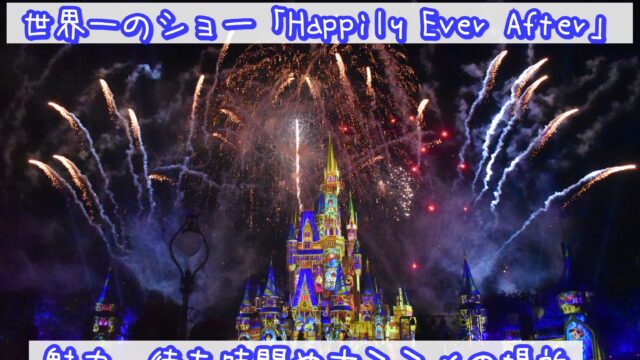 【WDW&DCL】世界一のショー「Happily Ever After」の魅力、待ち時間やオススメの場所