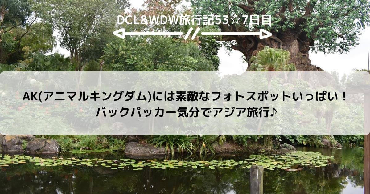 【WDW&DCL】AK(アニマルキングダム)には素敵なフォトスポットいっぱい！バックパッカー気分でアジア旅行♪