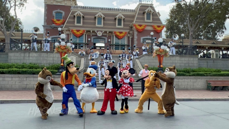 ディズニーランドバンド(Disneylandband)アナハイムディズニー