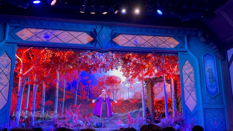 プレイハウス・イン・ザ・ウッズ(Play In The Woods) アナ雪ショー