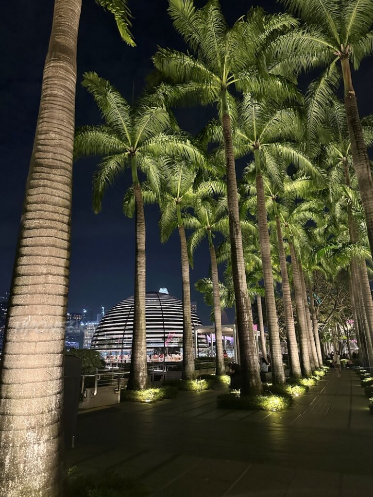 マリーナベイサンズ