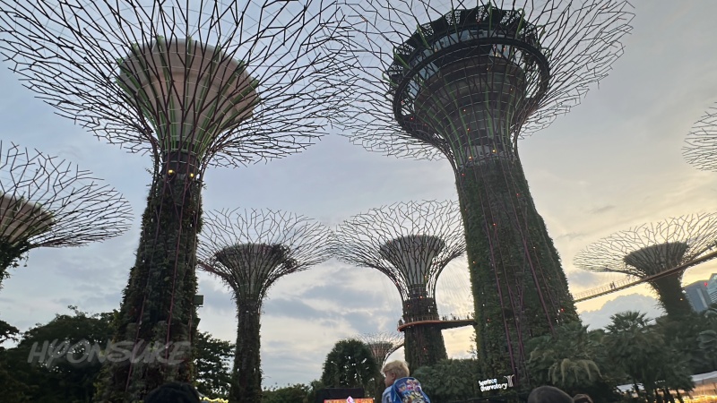 ガーデン・ラプソディ(Garden Rhapsody)