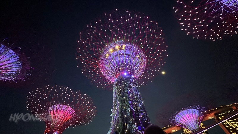 ガーデン・ラプソディ(Garden Rhapsody)