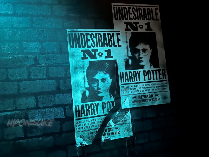 ハリーポッター:ビジョンズ・オブ・マジック(Harry Potter: Visions of Magic)