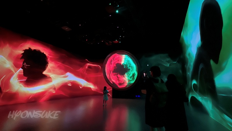 ハリーポッター:ビジョンズ・オブ・マジック(Harry Potter: Visions of Magic)