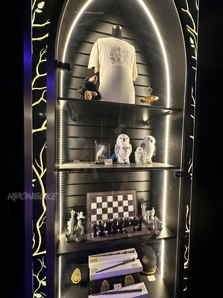 ハリーポッター:ビジョンズ・オブ・マジック(Harry Potter: Visions of Magic)