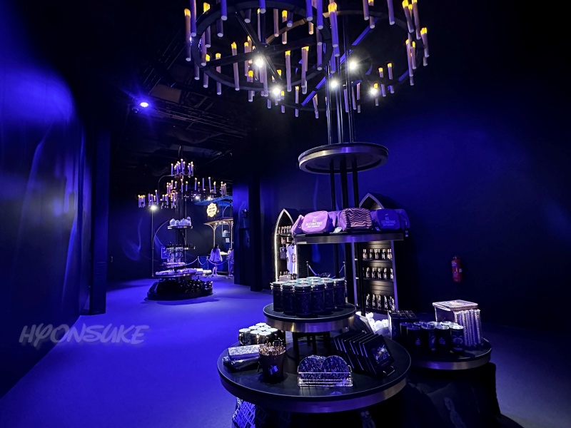 ハリーポッター:ビジョンズ・オブ・マジック(Harry Potter: Visions of Magic)