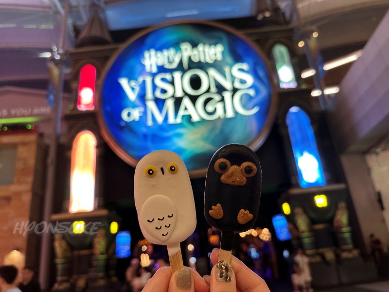ハリーポッター:ビジョンズ・オブ・マジック(Harry Potter: Visions of Magic)