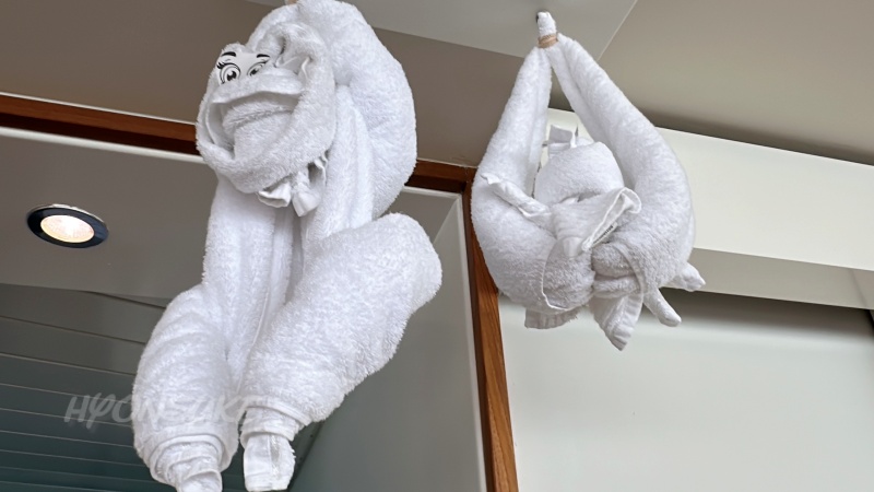 ロイヤルカリビアンクルーズ「オベーションオブザシーズ」プール