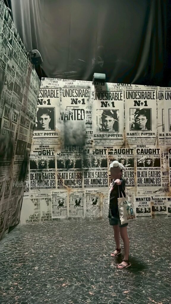 ハリーポッター：ビジョンズ・オブ・マジック（Harry Potter: Visions of Magic）