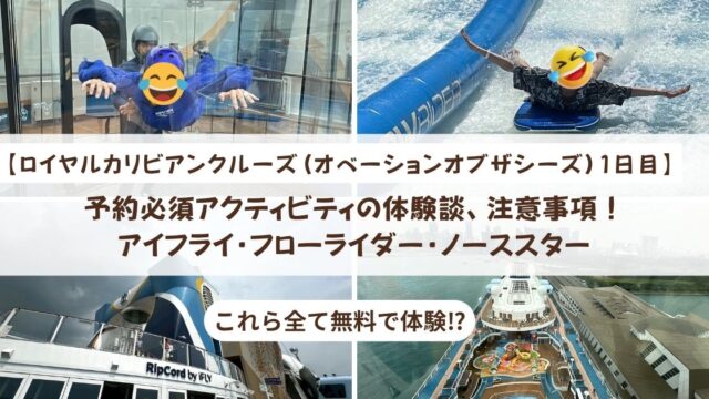 【ロイヤルカリビアンクルーズ】予約必須アクティビティの体験談、注意事項！アイフライ・フローライダー・ノーススター